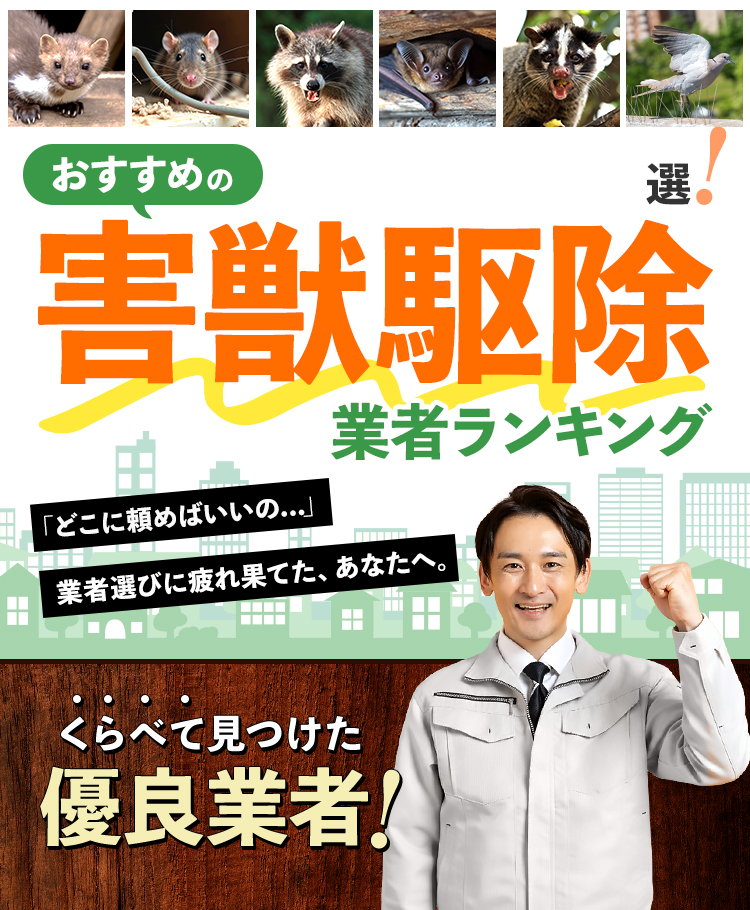 おすすめの害獣駆除業者ランキング